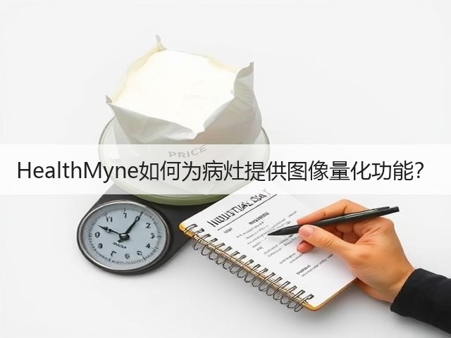 HealthMyne如何为病灶提供图像量化功能？(图3)