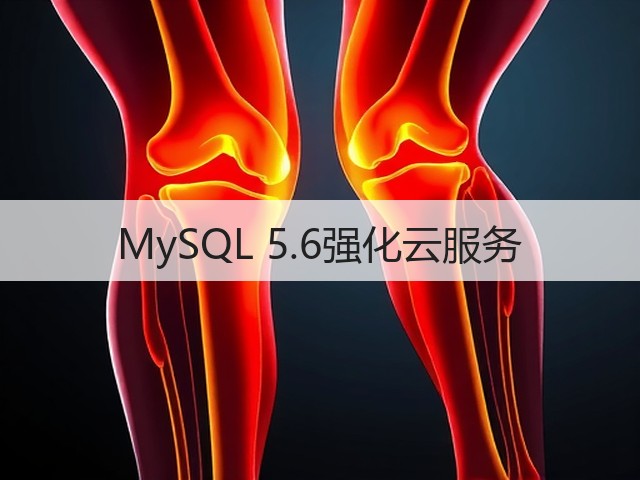 MySQL 5.6强化云服务(图2) MySQL 5.6强化云服务(图2)