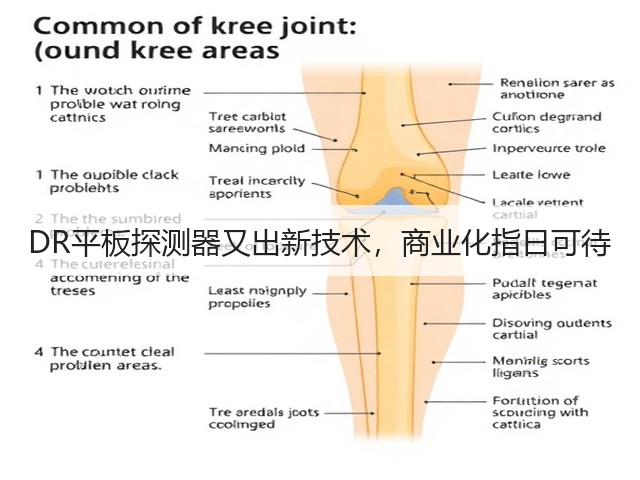 DR平板探测器又出新技术,商业化指日可待(图2) DR平板探测器又出新技术,商业化指日可待(图2)