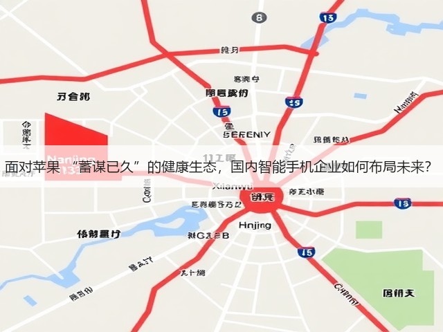 面对苹果 “蓄谋已久”的健康生态，国内智能手机企业如何布局未来？(图3)