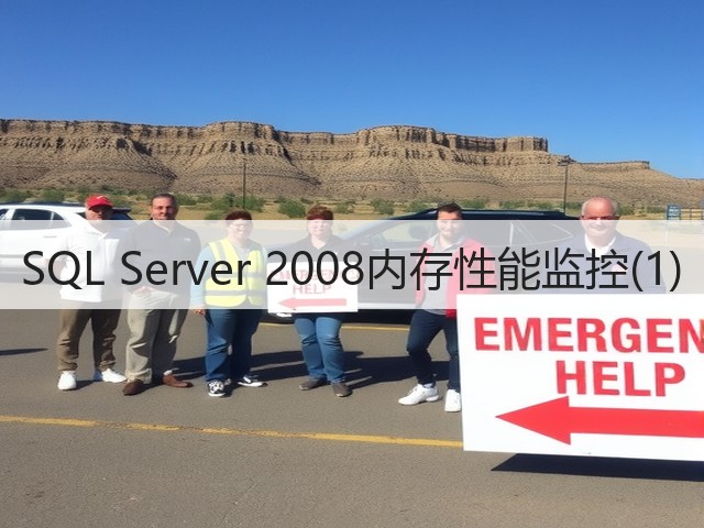 SQL Server 2008内存性能监控(1)(图2)