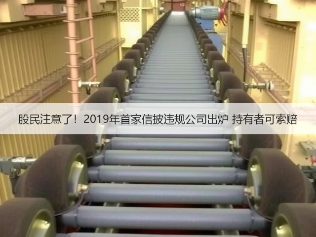 股民注意了!2019年首家信披违规公司出炉 持有者可索赔(图3) 股民注意了!2019年首家信披违规公司出炉 持有者可索赔(图3)