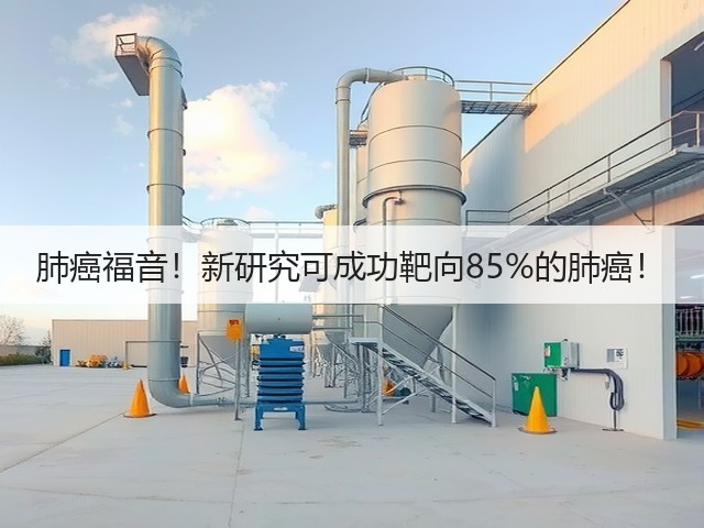 肺癌福音!新研究可成功靶向85%的肺癌!(图2) 肺癌福音!新研究可成功靶向85%的肺癌!(图2)
