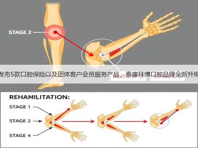 发布5款口腔保险以及团体客户会员服务产品,泰康拜博口腔品牌全新升级(图3) 发布5款口腔保险以及团体客户会员服务产品,泰康拜博口腔品牌全新升级(图3)