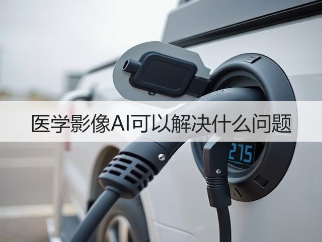 医学影像AI可以解决什么问题(图1) 医学影像AI可以解决什么问题(图1)