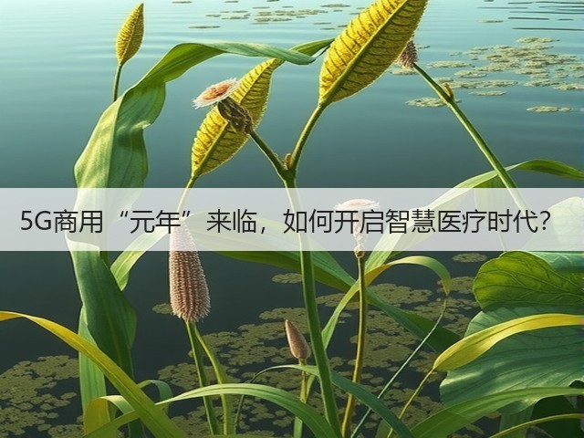 5G商用“元年”来临,如何开启智慧医疗时代?(图2) 5G商用“元年”来临,如何开启智慧医疗时代?(图2)