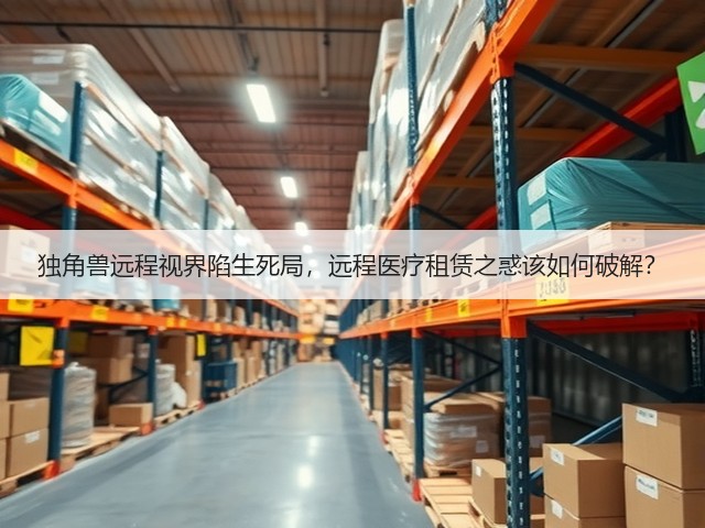 独角兽远程视界陷生死局,远程医疗租赁之惑该如何破解?(图3) 独角兽远程视界陷生死局,远程医疗租赁之惑该如何破解?(图3)