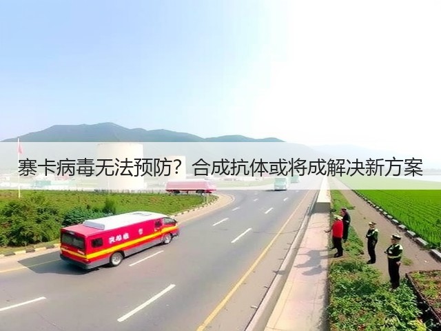 寨卡病毒无法预防？合成抗体或将成解决新方案(图1)