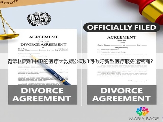 背靠国药和中电的医疗大数据公司如何做好新型医疗服务运营商?(图3) 背靠国药和中电的医疗大数据公司如何做好新型医疗服务运营商?(图3)