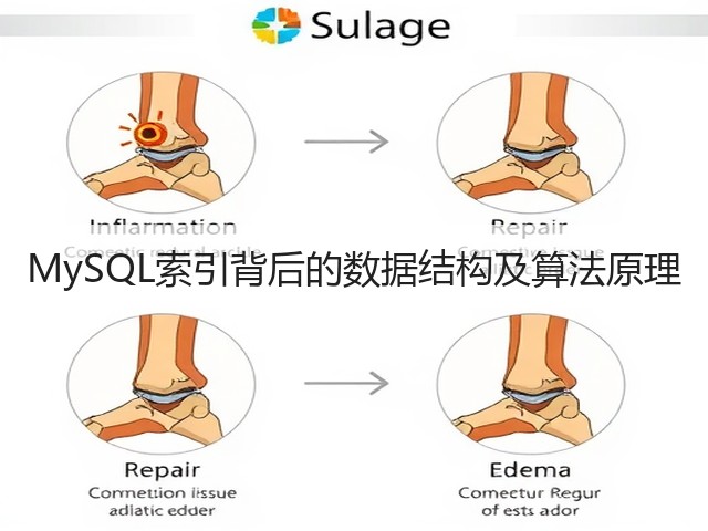 MySQL索引背后的数据结构及算法原理(图1) MySQL索引背后的数据结构及算法原理(图1)