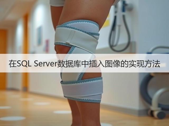 在SQL Server数据库中插入图像的实现方法(图2) 在SQL Server数据库中插入图像的实现方法(图2)