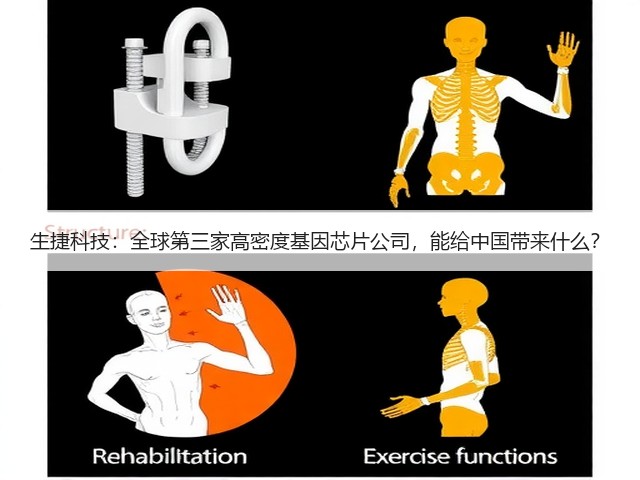 生捷科技:全球第三家高密度基因芯片公司,能给中国带来什么?(图3) 生捷科技:全球第三家高密度基因芯片公司,能给中国带来什么?(图3)