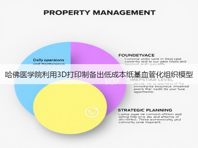 哈佛医学院利用3D打印制备出低成本纸基血管化组织模型(图2) 哈佛医学院利用3D打印制备出低成本纸基血管化组织模型(图2)