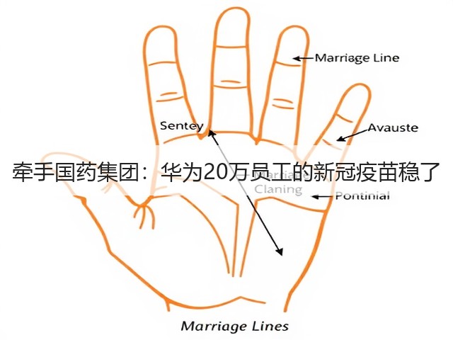 牵手国药集团:华为20万员工的新冠疫苗稳了(图3) 牵手国药集团:华为20万员工的新冠疫苗稳了(图3)