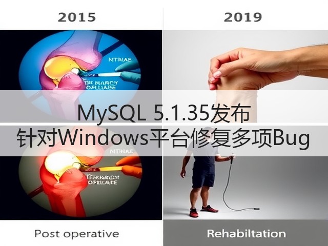 MySQL 5.1.35发布 针对Windows平台修复多项Bug(图3) MySQL 5.1.35发布 针对Windows平台修复多项Bug(图3)