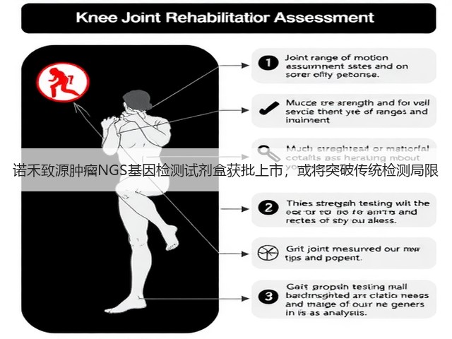 诺禾致源肿瘤NGS基因检测试剂盒获批上市,或将突破传统检测局限(图1) 诺禾致源肿瘤NGS基因检测试剂盒获批上市,或将突破传统检测局限(图1)