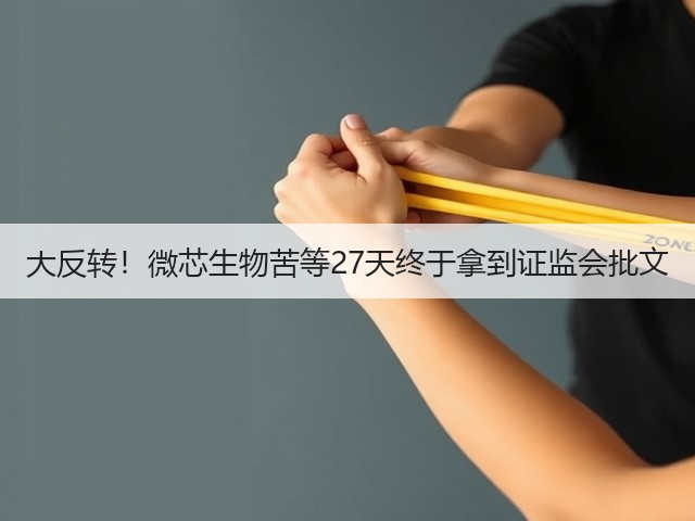 大反转!微芯生物苦等27天终于拿到证监会批文(图3) 大反转!微芯生物苦等27天终于拿到证监会批文(图3)