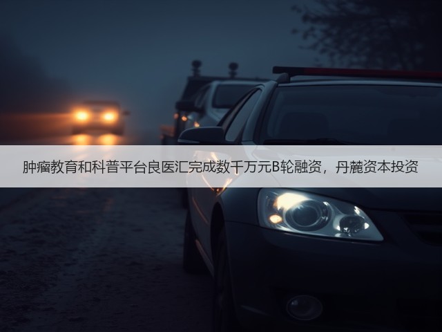 肿瘤教育和科普平台良医汇完成数千万元B轮融资,丹麓资本投资(图1) 肿瘤教育和科普平台良医汇完成数千万元B轮融资,丹麓资本投资(图1)