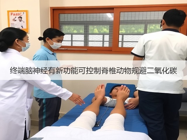 终端脑神经有新功能可控制脊椎动物规避二氧化碳(图2) 终端脑神经有新功能可控制脊椎动物规避二氧化碳(图2)