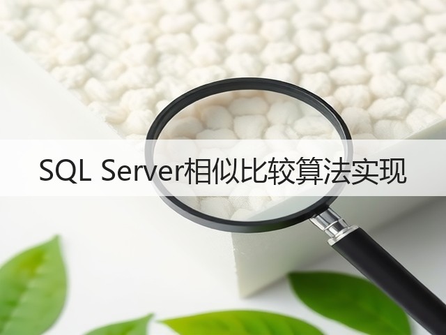 SQL Server相似比较算法实现(图2) SQL Server相似比较算法实现(图2)