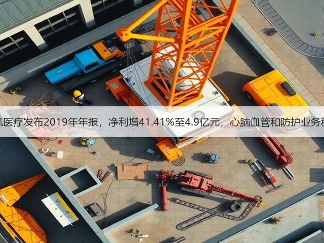 蓝帆医疗发布2019年年报,净利增41.41%至4.9亿元,心脑血管和防护业务稳增(图3) 蓝帆医疗发布2019年年报,净利增41.41%至4.9亿元,心脑血管和防护业务稳增(图3)