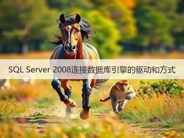 SQL Server 2008连接数据库引擎的驱动和方式(图2) SQL Server 2008连接数据库引擎的驱动和方式(图2)