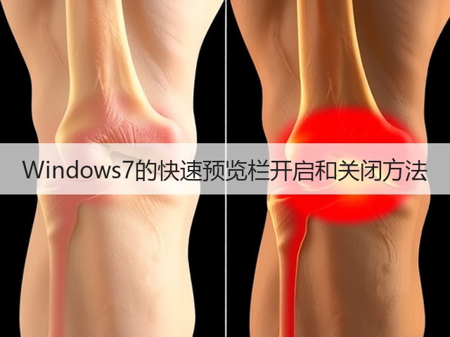Windows7的快速预览栏开启和关闭方法(图1)