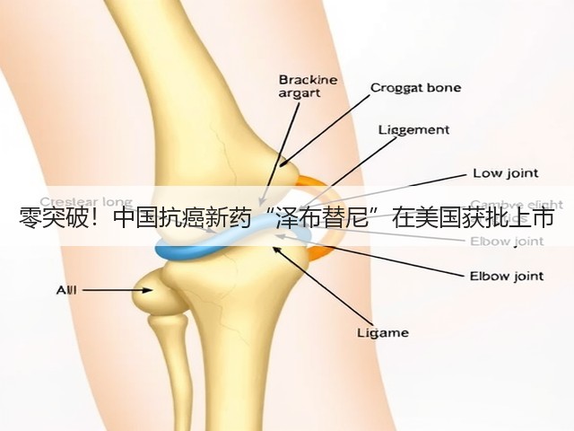 零突破!中国抗癌新药“泽布替尼”在美国获批上市(图2) 零突破!中国抗癌新药“泽布替尼”在美国获批上市(图2)