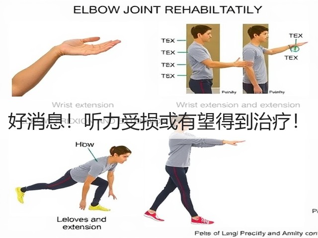 好消息!听力受损或有望得到治疗!(图1) 好消息!听力受损或有望得到治疗!(图1)