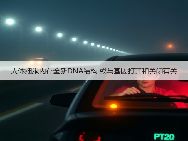 人体细胞内存全新DNA结构 或与基因打开和关闭有关(图2) 人体细胞内存全新DNA结构 或与基因打开和关闭有关(图2)