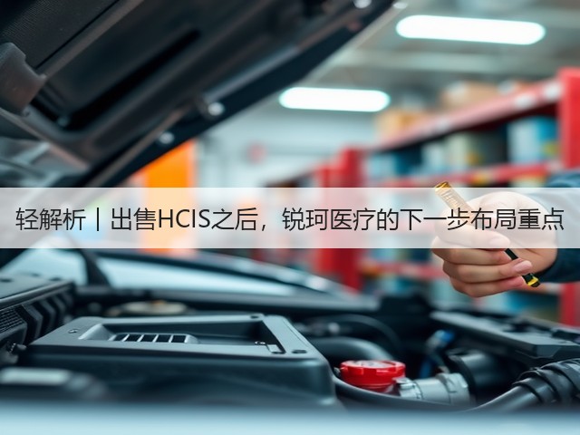 轻解析︱出售HCIS之后,锐珂医疗的下一步布局重点(图2) 轻解析︱出售HCIS之后,锐珂医疗的下一步布局重点(图2)