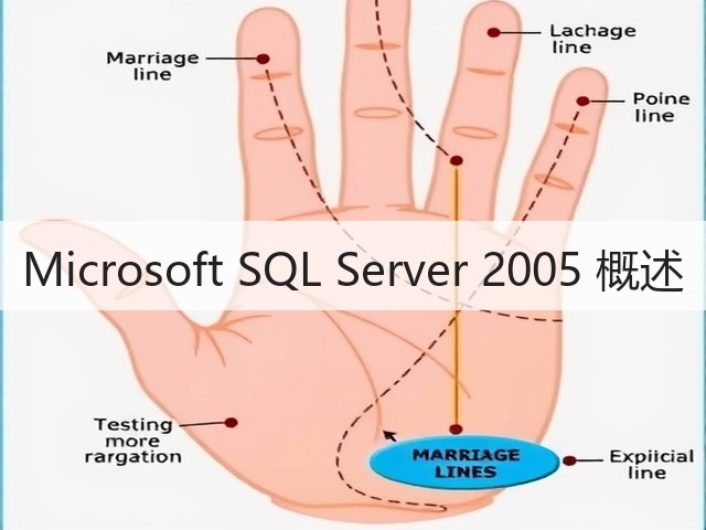 Microsoft SQL Server 2005 概述(图3) Microsoft SQL Server 2005 概述(图3)