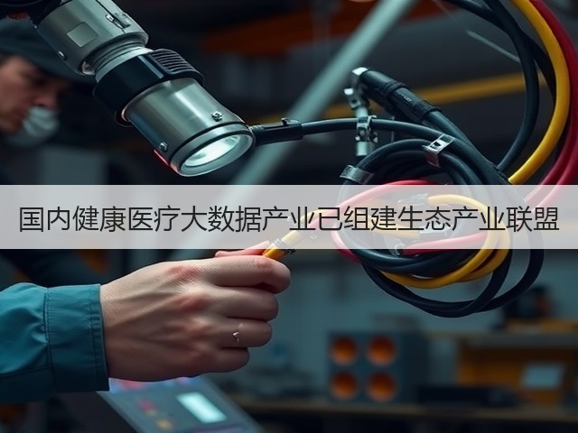 国内健康医疗大数据产业已组建生态产业联盟(图3) 国内健康医疗大数据产业已组建生态产业联盟(图3)