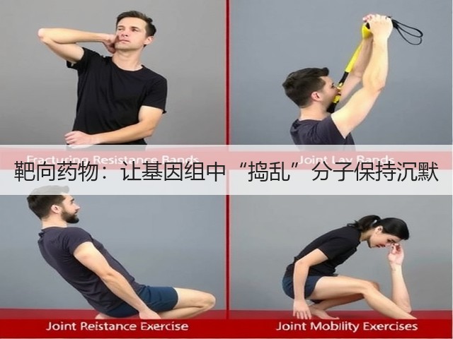 靶向药物:让基因组中“捣乱”分子保持沉默(图2) 靶向药物:让基因组中“捣乱”分子保持沉默(图2)