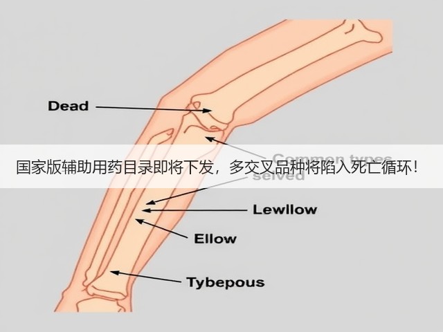 国家版辅助用药目录即将下发,多交叉品种将陷入死亡循环!(图1) 国家版辅助用药目录即将下发,多交叉品种将陷入死亡循环!(图1)