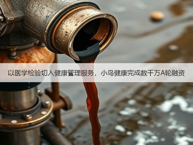 以医学检验切入健康管理服务,小鸟健康完成数千万A轮融资(图1) 以医学检验切入健康管理服务,小鸟健康完成数千万A轮融资(图1)