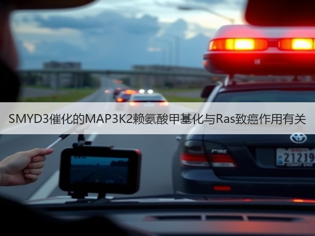 SMYD3催化的MAP3K2赖氨酸甲基化与Ras致癌作用有关(图3)