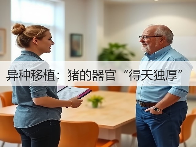 异种移植:猪的器官“得天独厚”(图2) 异种移植:猪的器官“得天独厚”(图2)