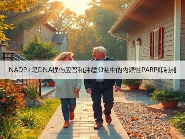 NADP+是DNA损伤应答和肿瘤抑制中的内源性PARP抑制剂(图1) NADP+是DNA损伤应答和肿瘤抑制中的内源性PARP抑制剂(图1)