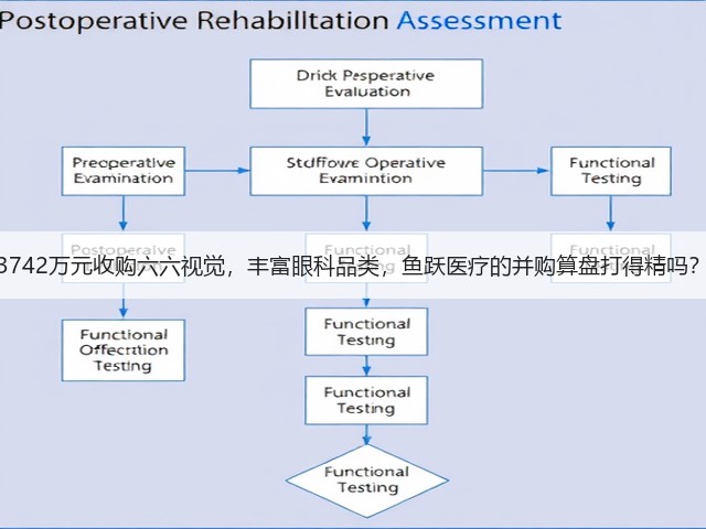 3742万元收购六六视觉,丰富眼科品类,鱼跃医疗的并购算盘打得精吗?(图3) 3742万元收购六六视觉,丰富眼科品类,鱼跃医疗的并购算盘打得精吗?(图3)