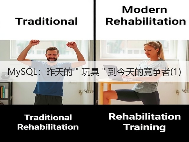 MySQL:昨天的"玩具"到今天的竞争者(1)(图2) MySQL:昨天的"玩具"到今天的竞争者(1)(图2)