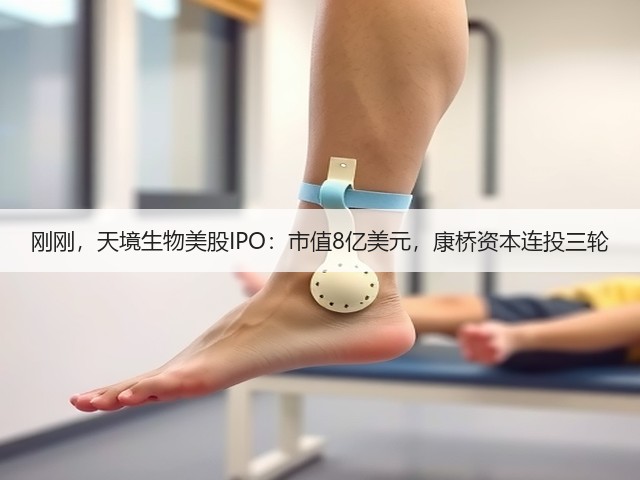 刚刚，天境生物美股IPO：市值8亿美元，康桥资本连投三轮(图3)