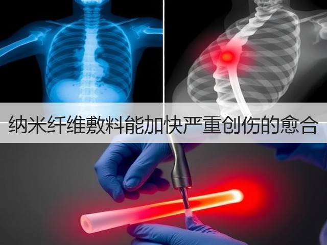 纳米纤维敷料能加快严重创伤的愈合(图1)