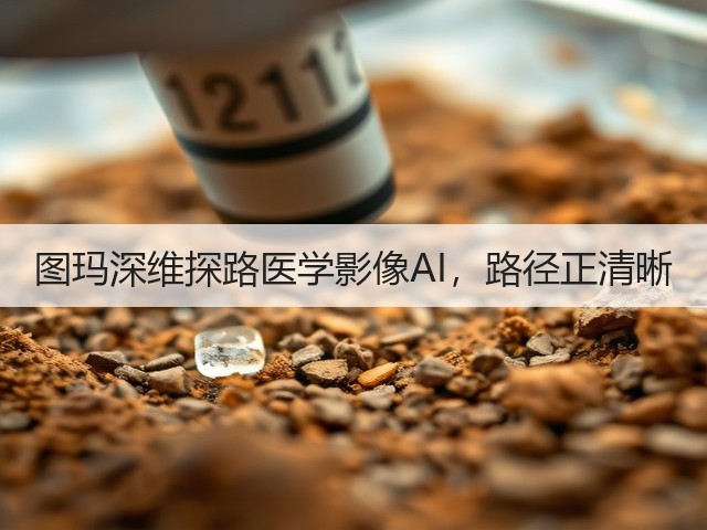图玛深维探路医学影像AI,路径正清晰(图3) 图玛深维探路医学影像AI,路径正清晰(图3)