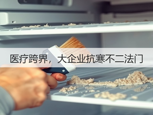 医疗跨界,大企业抗寒不二法门(图3) 医疗跨界,大企业抗寒不二法门(图3)
