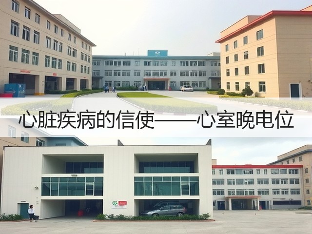 心脏疾病的信使——心室晚电位(图1) 心脏疾病的信使——心室晚电位(图1)
