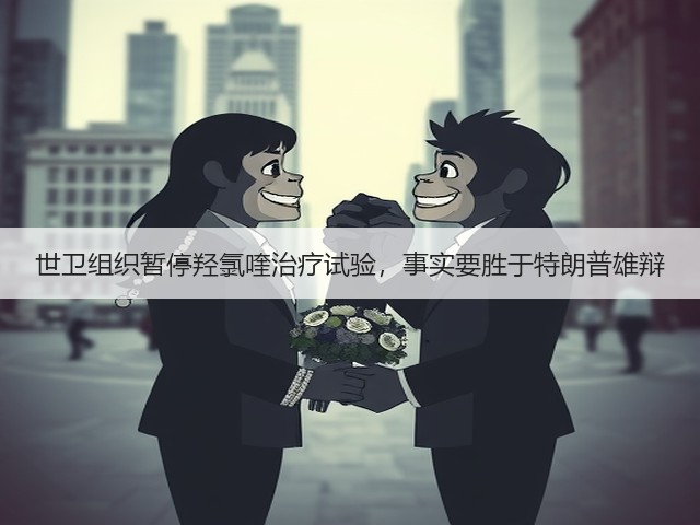 世卫组织暂停羟氯喹治疗试验,事实要胜于特朗普雄辩(图3) 世卫组织暂停羟氯喹治疗试验,事实要胜于特朗普雄辩(图3)