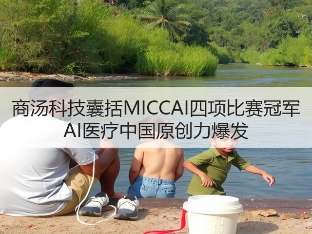 商汤科技囊括MICCAI四项比赛冠军 AI医疗中国原创力爆发(图2) 商汤科技囊括MICCAI四项比赛冠军 AI医疗中国原创力爆发(图2)
