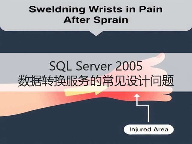 SQL Server 2005 数据转换服务的常见设计问题(图2) SQL Server 2005 数据转换服务的常见设计问题(图2)