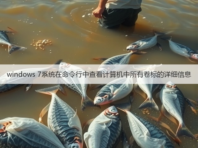 windows 7系统在命令行中查看计算机中所有卷标的详细信息(图3)